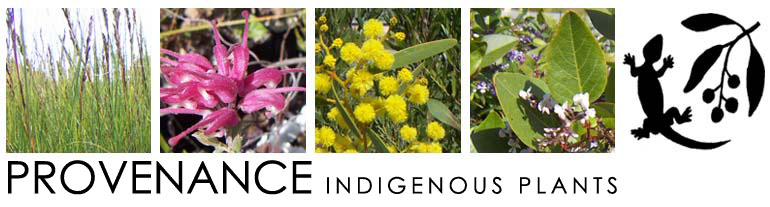 Provenance Indigenous Plants