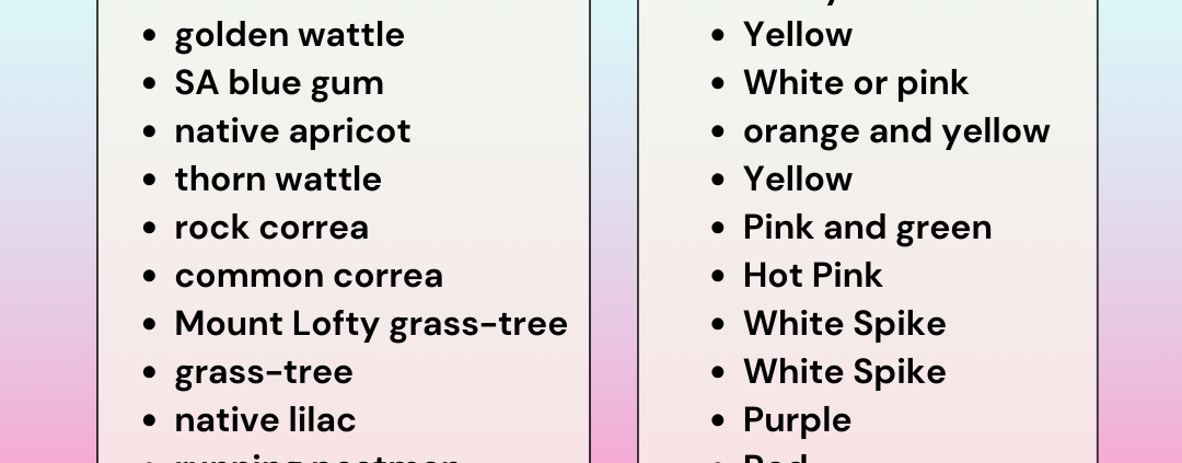 We sell winter flowering plants.